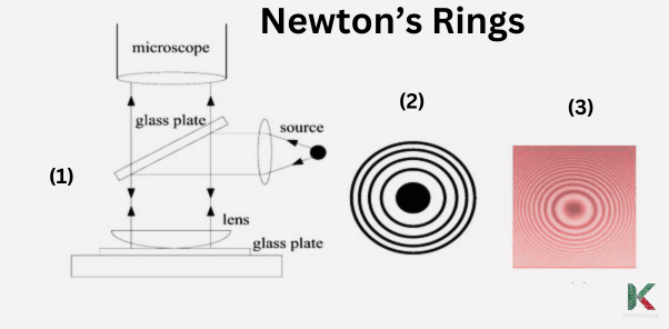 Formation of Newton's rings