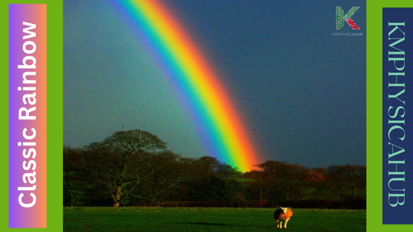 Picture of a Classic Rainbow in a green place