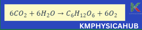 Equation of Photosynthesis in plants