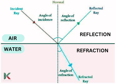 Difference between Reflection and Refraction