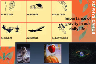 Importance of gravity in our daily life