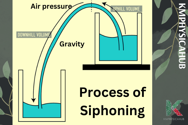 Role of gravity in the process of siphoning