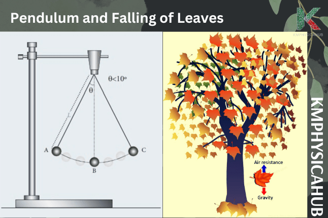 Role of gravity in pendulum clocks and falling leaves