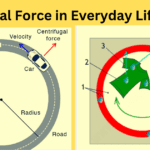 Centrifugal Force in washing Machines and Turning Cars