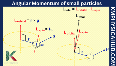 Conservation of angular momentum in small particles