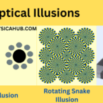 Some Famous Optical Illusions