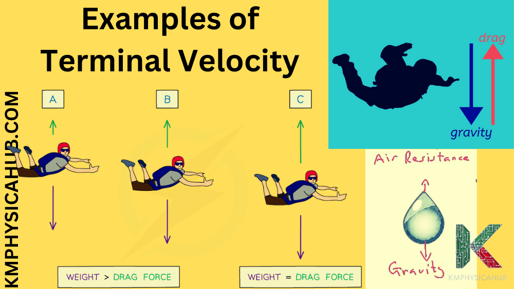 Real-World Examples of Terminal Velocity