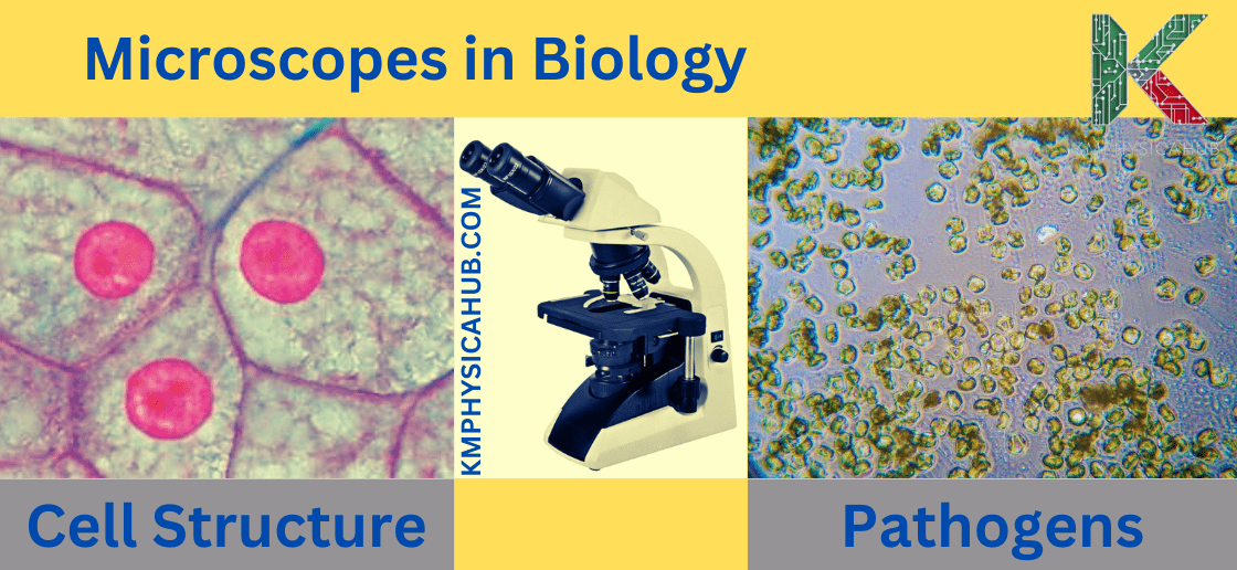 Applications of Microscopy in Biology