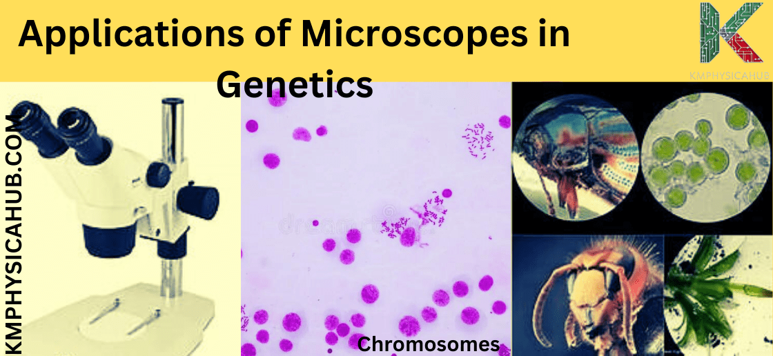 Use of Microscopes in Genetics