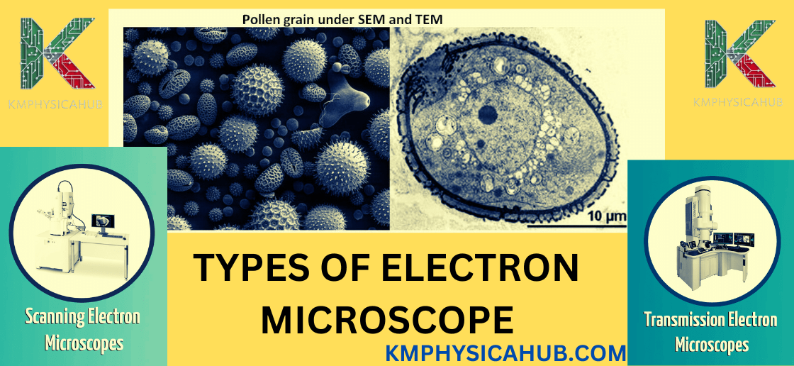 Pollen Grain under SEM and TEM 