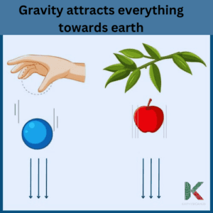 Apple and ball falling down due to gravity