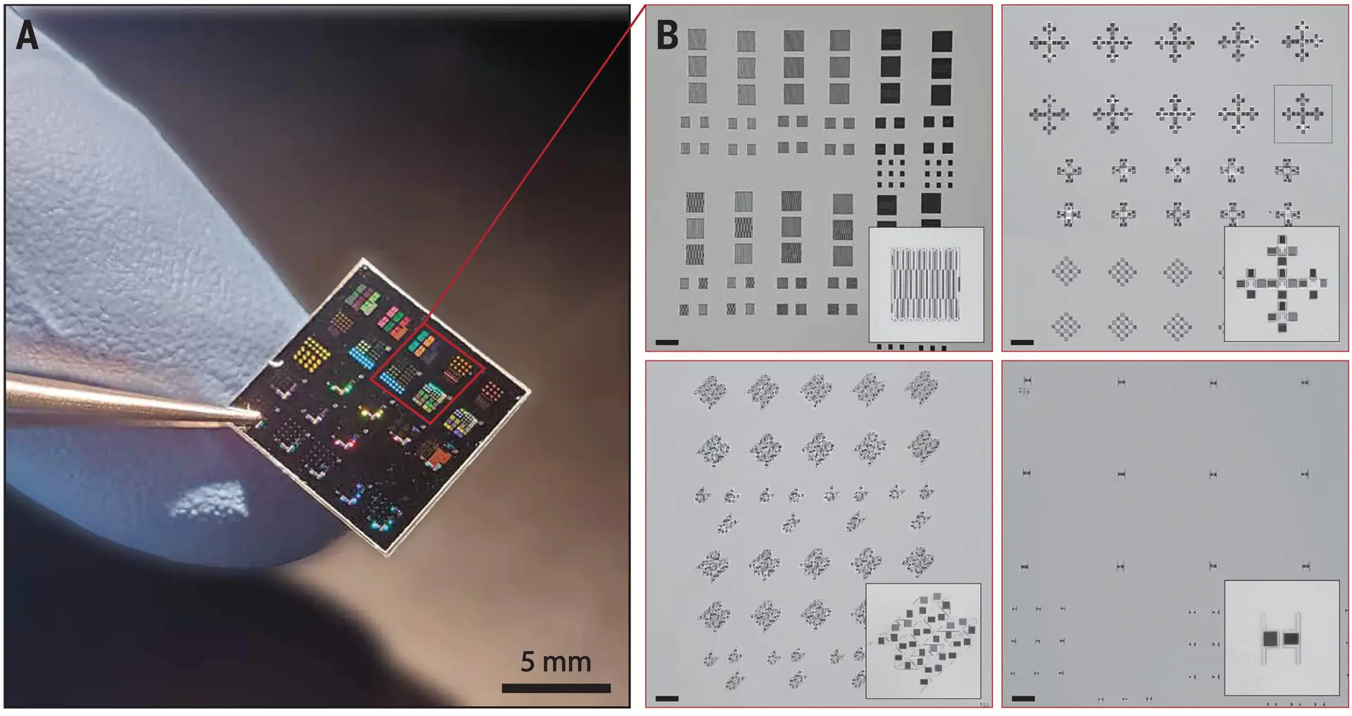 A 10- by 10-mm chip containing arrays of diffractive robots, displaying bright colors owing to diffraction from the varying periodicities.