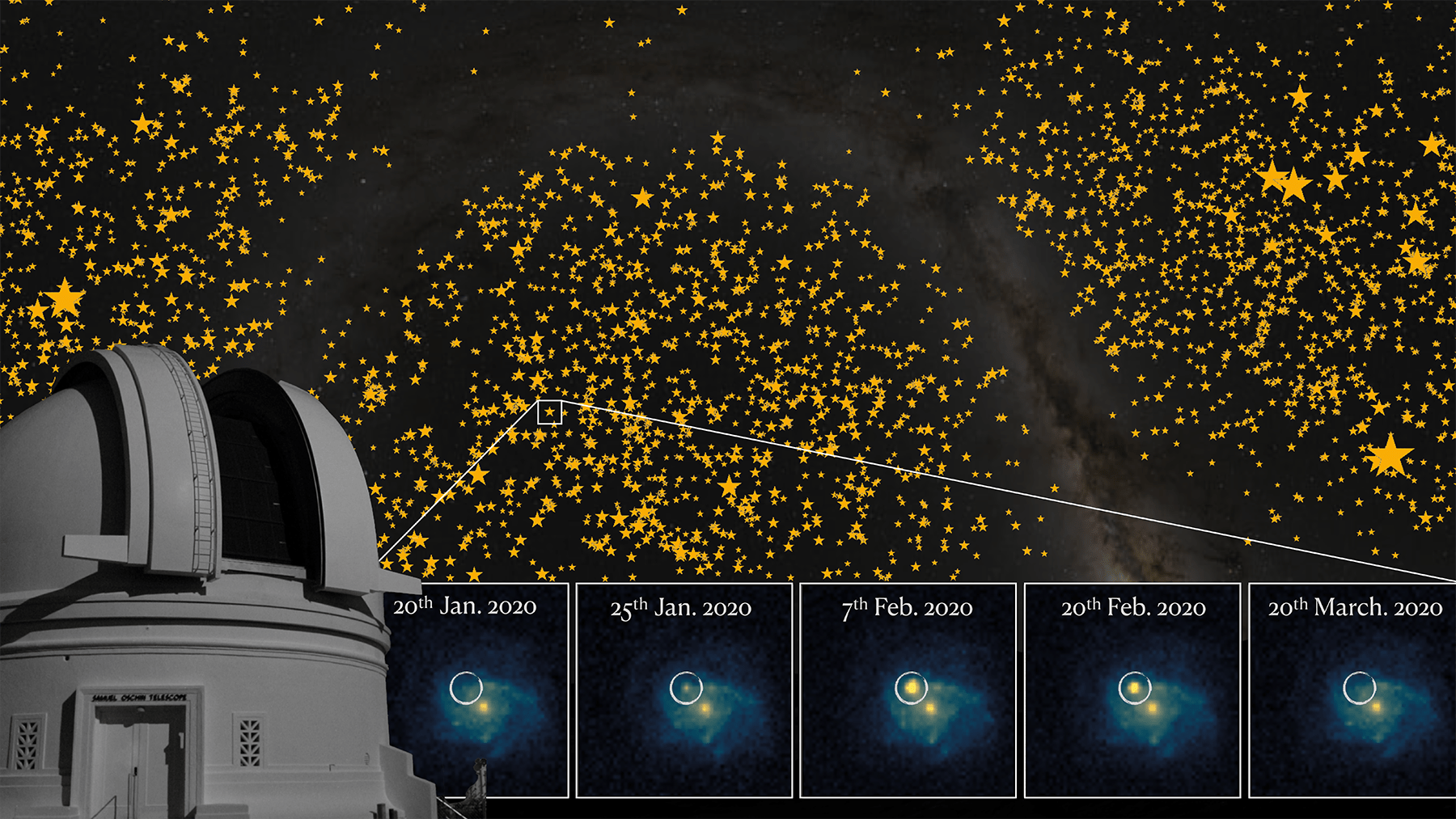 ZTF image for sample of 3628 Type Ia Supernovae